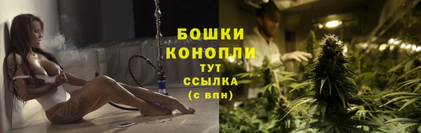 гашик Белокуриха