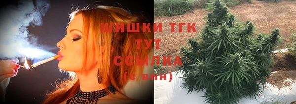 хмурый Тында