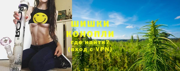 гашик Белокуриха