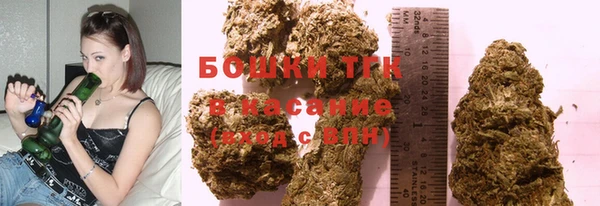 гашик Белокуриха