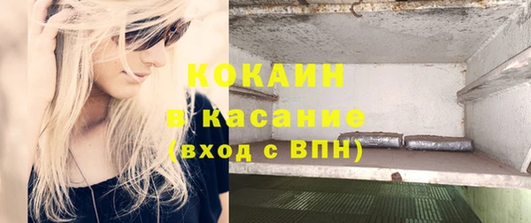 гашик Белокуриха