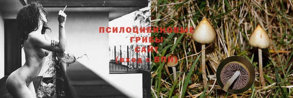 тгк Беломорск