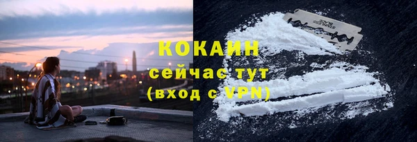 гашик Белокуриха