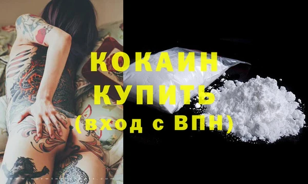 гашик Белокуриха