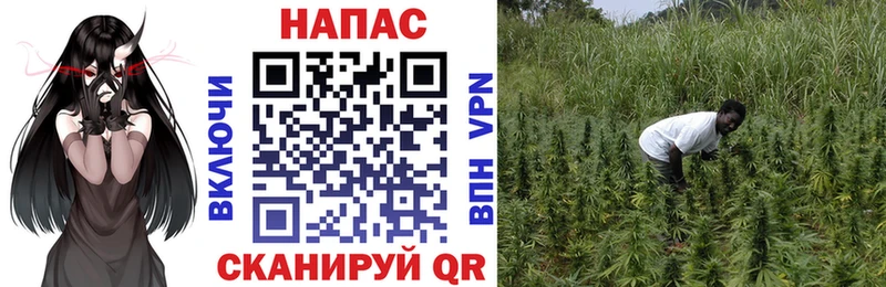 Шишки марихуана семена  Велиж 